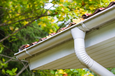 What Most Homeowners Miss About Gutter Care in Wooded or Rural Areas